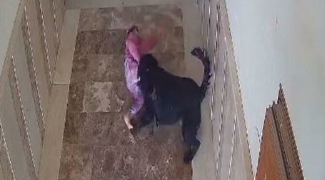 Cizre’de Apartmanın koridorunda oynayan küçük çocuğa köpek saldırdı