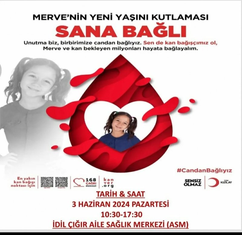 İdil Kozluca, Çığır Ve karalar beldesinde Kan vermeye bekliyoruz