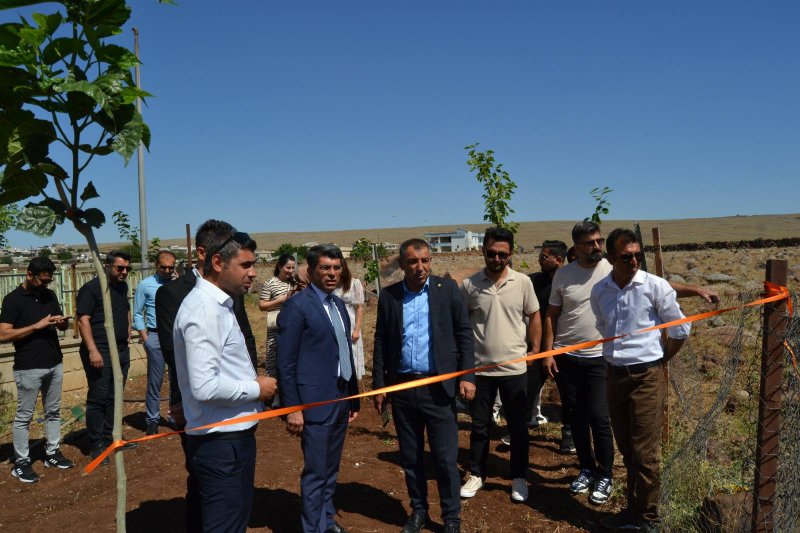 İdil Özen Ortaokulu’ndan Anlamlı Bir Etkinlik: Birinci Dut Festivali