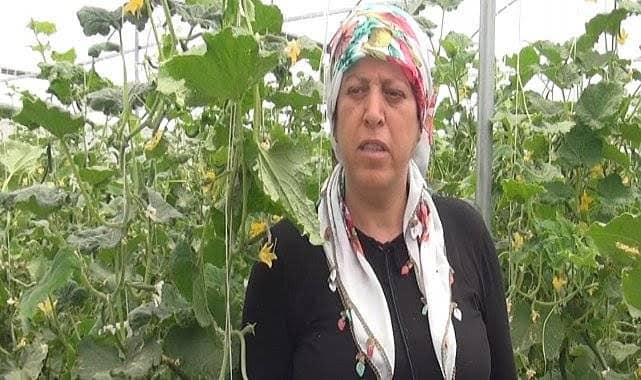 İdil’de Bileziklerini satıp devletten aldığı hibe ile sera kurdu