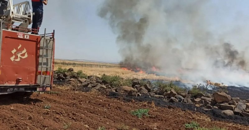 İdil’de çıkan anız yangını söndürüldü