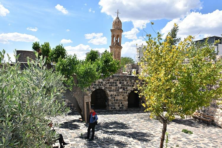 İdil’de kilise avlusundaki 402 yıllık dut ağacının bakımı yapılıyor