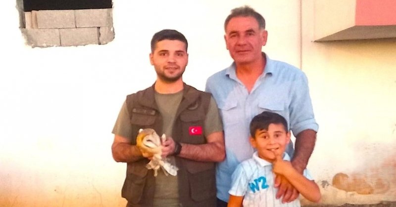 İdil’de Yaralı Peçeli Baykuş Tedavi Altına Alındı