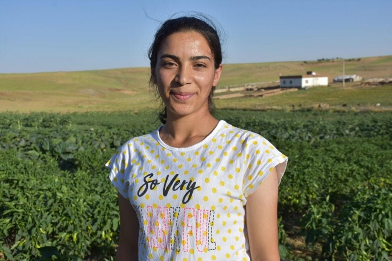 İdilli 25 Yaşındaki Emine Akman, devlet desteğiyle atıl arazide 6 çeşit sebze ve meyve yetiştiriyor