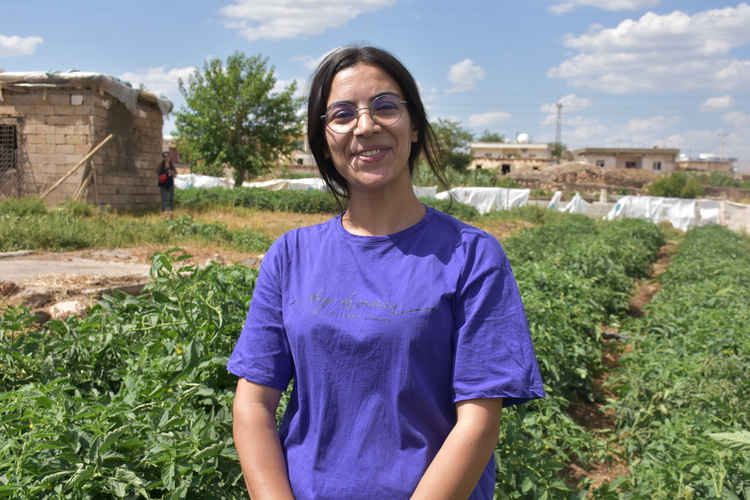 İdilli çiftçiye dağıtılan sebze fidesinden ürün elde edildi