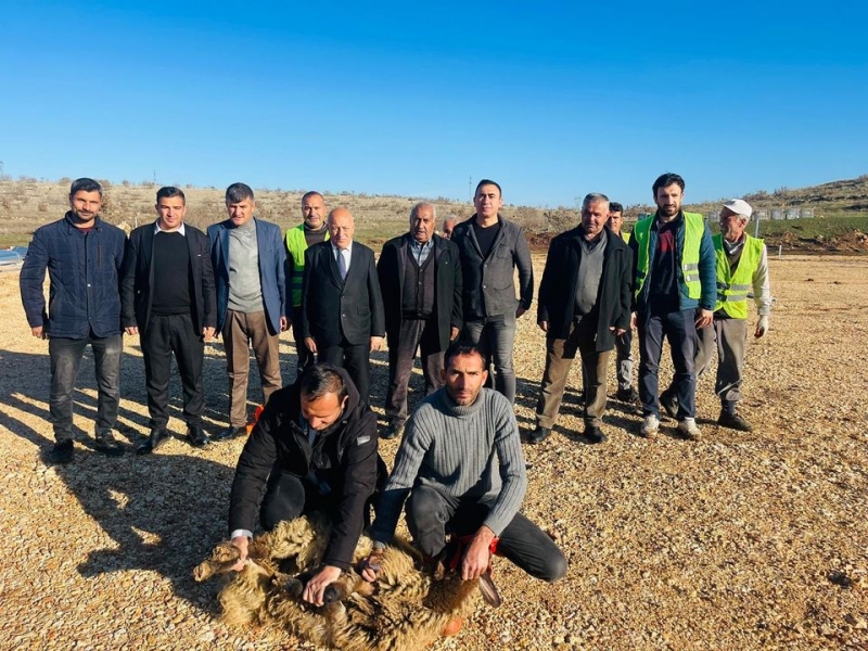 Karalar Belediyesi, Güneş Enerjisi Santrali Kuruyor.