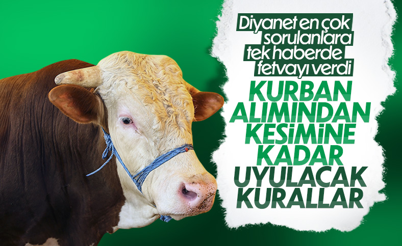 Kurban ibadeti ile ilgili dikkat edilmesi gerekenler