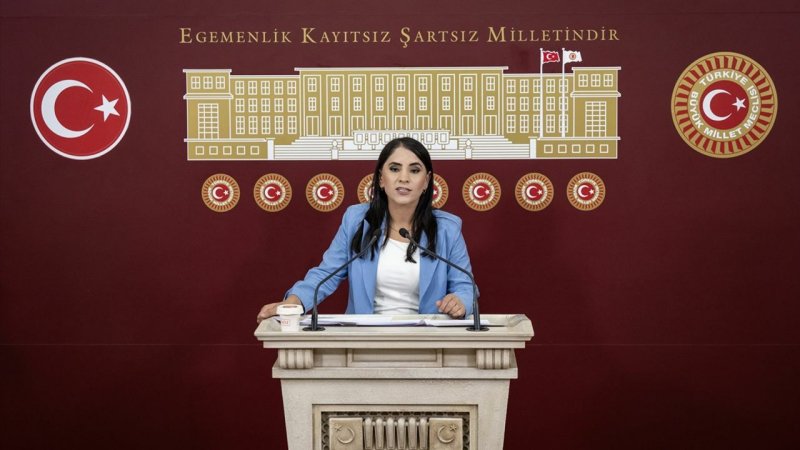 Milletvekili Aslan, Şırnak'taki çiftçilerin durumuna dikkat çekerek destek istedi