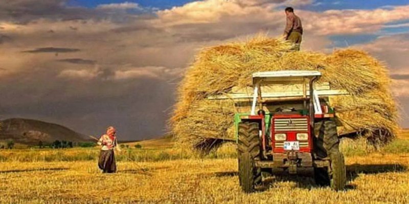 Şırnak İl Tarım Müdürlüğünden, Çiftçilere önemli uyarı!