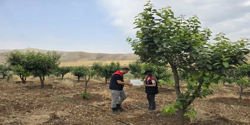 Şırnaklı çiftçilere uyarı yarın son gün!