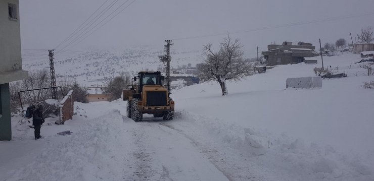 Şırnak'ta 4 yerleşim yerine kardan ulaşım sağlanamıyor
