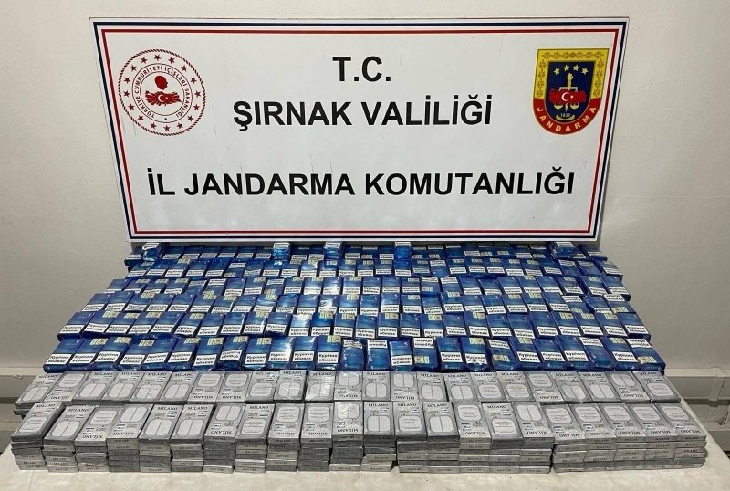 Şırnak'ta Jandarma'dan Gümrük Kaçağı Operasyonu: 16 Gözaltı