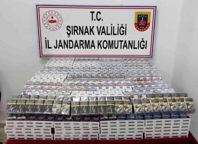 Şırnak'ta uyuşturucu ve kaçakçılık operasyonu: 4 kişi tutuklandı