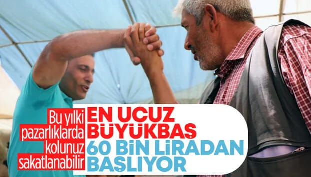 Vatandaşlar merakla bekliyordu! 2023 yılı kurban fiyatları