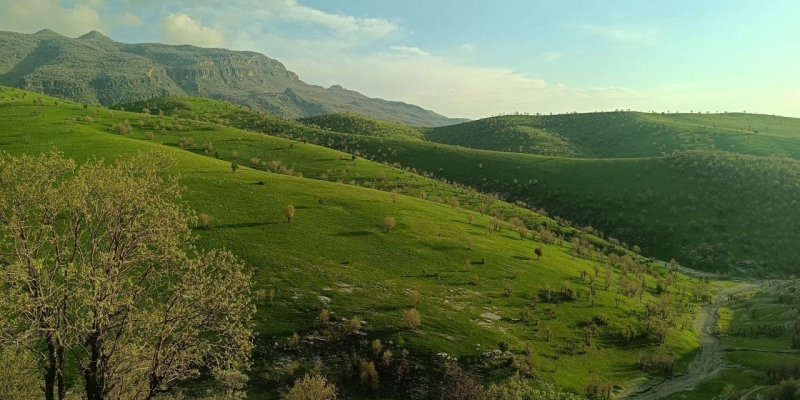 Şırnak'ta Hafta Sonu Planı Olanlar Dikkat! Sağanak Geri Dönüyor