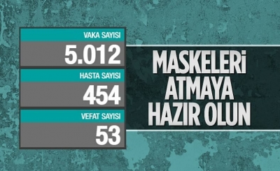 13 Haziran Türkiye'nin koronavirüs tablosu