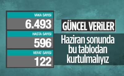 31 Mayıs Türkiye'nin koronavirüs tablosu
