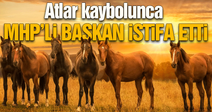 Atlar kaybolunca başkan istifa etti
