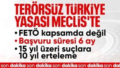 Çerçeve yasa artık Meclis'te: İşte 12 maddelik kanun teklifi