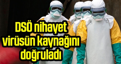 DSÖ, virüsün kaynağının yarasa olduğunu doğruladı 