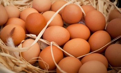 Haftada 4 yumurta kalbe iyi geliyor