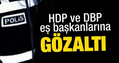 HDP'li başkan yardımcısı ve DBP eş başkanı gözaltında 