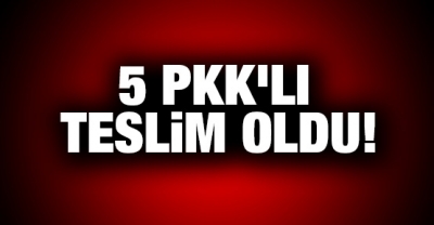 İçişleri Bakanlığı: 1'i gri kategoride olmak üzere toplam 5 PKK’lı teslim oldu