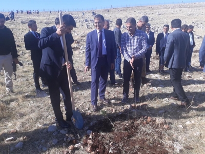 İdil Kaymakamımız Zafer Sağ’ın katılımıyla İdil’de 10 bin fidan toprakla buluşturuldu