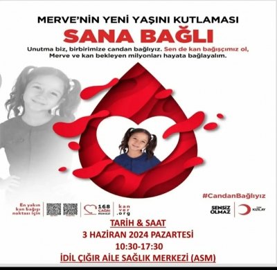 İdil Kozluca, Çığır Ve karalar beldesinde Kan vermeye bekliyoruz
