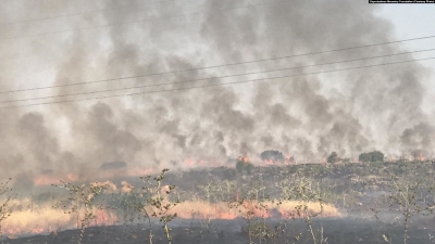 İdil Öğündük Köyünde Bin Dönüm Üzüm Bağı Kül Oldu.