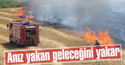 İdil TEMA Vakfından Anız Açıklaması.