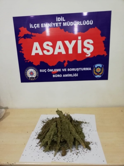 İdil’de 1 Kg 10 Gram Esrar Ele Geçirildi