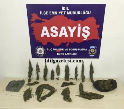İdil’de 1030 Gram Esrar Ele Geçirildi.