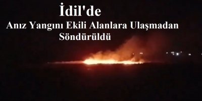İdil'de Anız Yangını Ekili Alanlara Ulaşmadan Söndürüldü