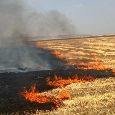 İdil'de Anız Yangını