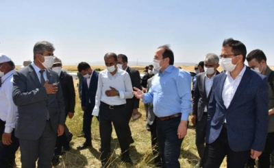 idil'de Buğday hasadı başladı