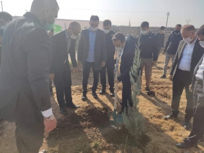 idil'de 'Geleceğe Nefes' için 4.800 fidan dikildi