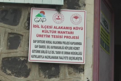 İdil’de Kültür Mantarı Üretimi ve Teknolojik Gelişmelerle İlerliyoruz.
