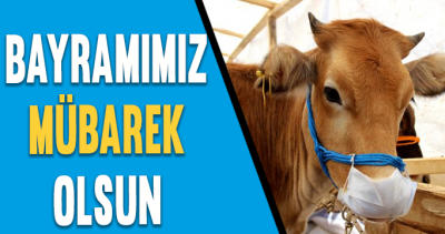 İdil’de Kurban Bayramı sevinci yaşanıyor