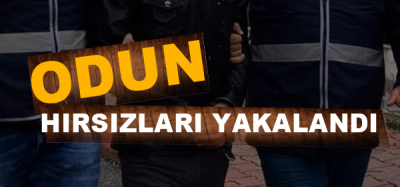 İdil’de Odun hırsızlarını güvenlik korucuları yakaladı