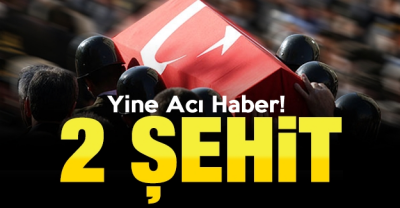 İdil’de PKK'lılarca  tuzaklanan el yapımı patlayıcı infilak etti: 2 şehit, 7 yaralı