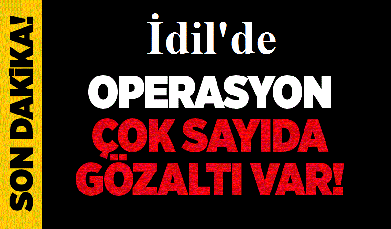 idil’de Şafak Operasyonu Gözaltılar var 