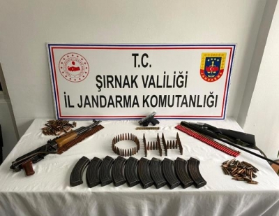 İdil’de silah kaçakçılığı operasyonu: 1 gözaltı