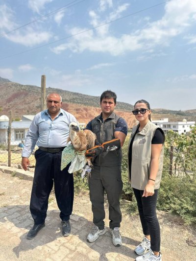 İdil’de Yaralı Kuş Tedavi Edilecek