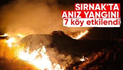 İdil’in Suriye sınırında anız yangını: 7 köy etkilendi