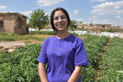 İdilli çiftçiye dağıtılan sebze fidesinden ürün elde edildi