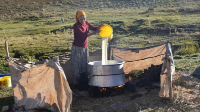 idil'li Üniversite öğrencisi Halime ilçin eğitim masraflarını karşılamak için ailesiyle yaylada çalışıyor.