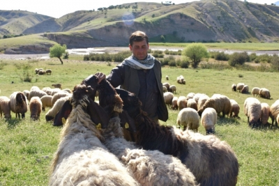 Mera Yasakları Kalktı, Göçerler Yollara Düştü