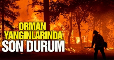 Orman yangınlarında son durum
