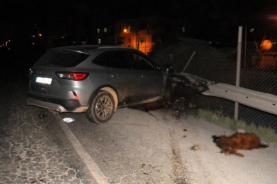 Otomobil ve kamyonet koyun sürüsüne çarptı: 3 yaralı